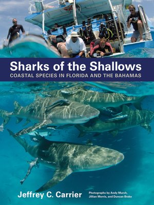 cover image of Sharks of the Shallows